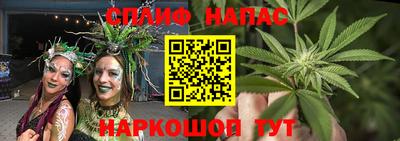 шишки Малгобек