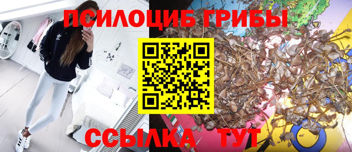 Фролово  Галлюциногенные грибы Magic Shrooms  Вход с VPN  хочу наркоту  Псилоцибиновые грибы мицелий 