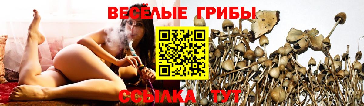 Псилоцибиновые грибы мухоморы Фролово